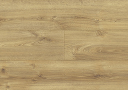 VOX Dąb Bosco 40164 - QUERRA BALANCE WR