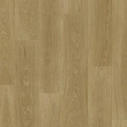 JOKA 833 Xplora Next 8655 Oak infinity gold