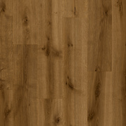 VOX Dąb Roden - QUERRA SUPRA