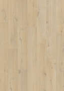 PERGO - Visby - Dąb Nadmorski - L0331-03374