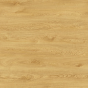 VOX Dąb Elya - QUERRA BALANCE PLUS WR